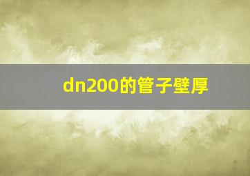 dn200的管子壁厚