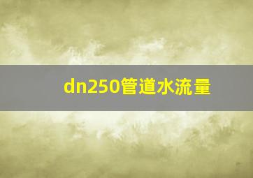 dn250管道水流量