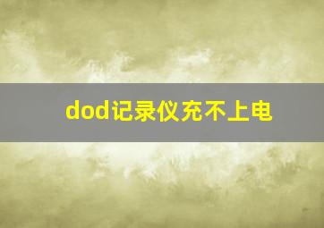 dod记录仪充不上电