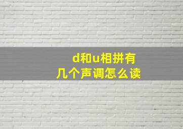 d和u相拼有几个声调怎么读