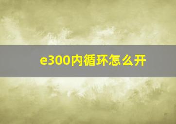 e300内循环怎么开