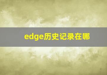 edge历史记录在哪