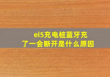 ei5充电桩蓝牙充了一会断开是什么原因