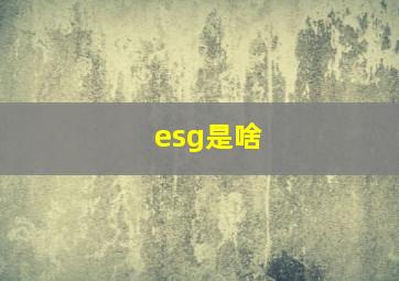 esg是啥