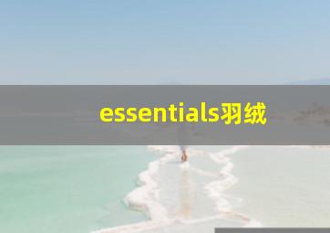 essentials羽绒