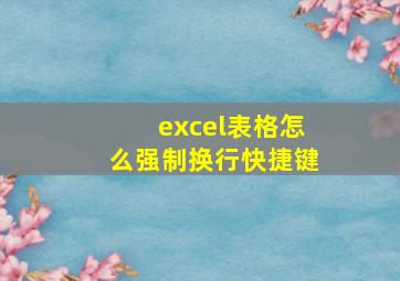 excel表格怎么强制换行快捷键