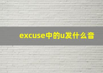 excuse中的u发什么音