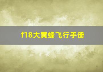 f18大黄蜂飞行手册