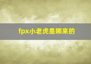 fpx小老虎是哪来的