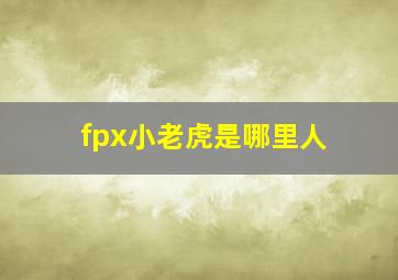 fpx小老虎是哪里人