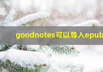 goodnotes可以导入epub吗