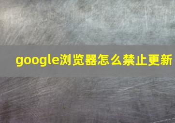 google浏览器怎么禁止更新