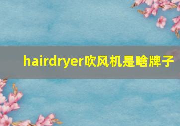 hairdryer吹风机是啥牌子