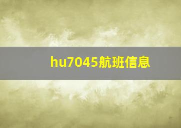 hu7045航班信息