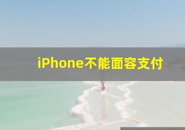 iPhone不能面容支付