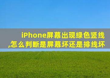 iPhone屏幕出现绿色竖线,怎么判断是屏幕坏还是排线坏