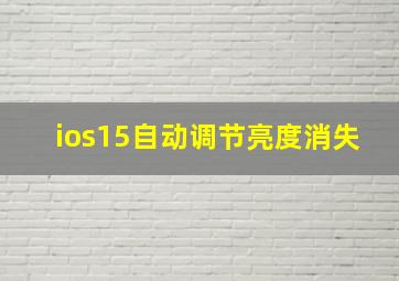 ios15自动调节亮度消失