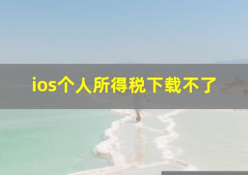 ios个人所得税下载不了