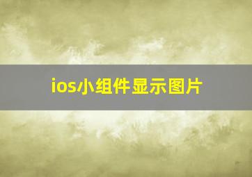 ios小组件显示图片