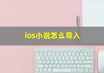 ios小说怎么导入