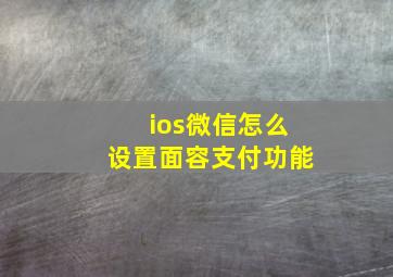 ios微信怎么设置面容支付功能