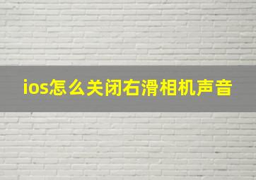 ios怎么关闭右滑相机声音