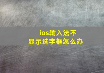 ios输入法不显示选字框怎么办