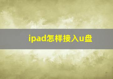 ipad怎样接入u盘