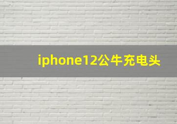 iphone12公牛充电头