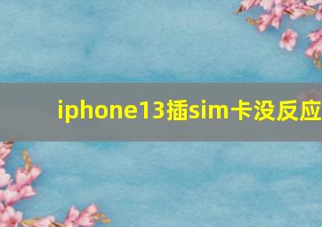 iphone13插sim卡没反应