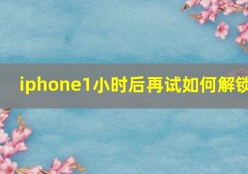 iphone1小时后再试如何解锁