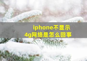 iphone不显示4g网络是怎么回事