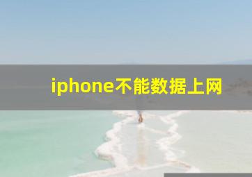 iphone不能数据上网