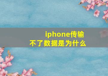 iphone传输不了数据是为什么