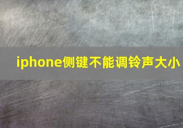 iphone侧键不能调铃声大小