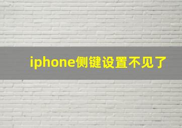 iphone侧键设置不见了