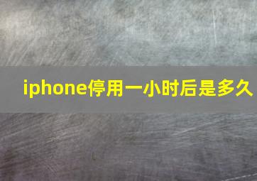 iphone停用一小时后是多久