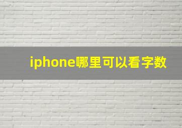 iphone哪里可以看字数