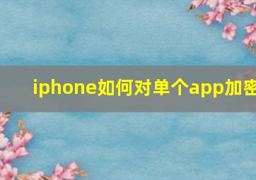 iphone如何对单个app加密