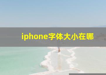 iphone字体大小在哪