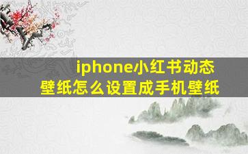 iphone小红书动态壁纸怎么设置成手机壁纸