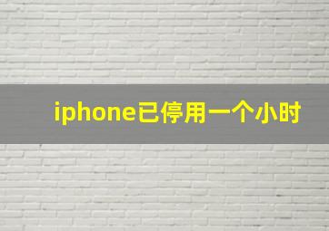 iphone已停用一个小时