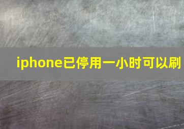 iphone已停用一小时可以刷