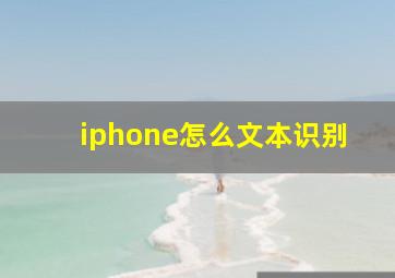 iphone怎么文本识别