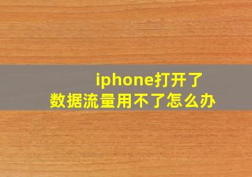 iphone打开了数据流量用不了怎么办