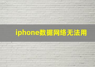 iphone数据网络无法用