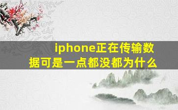 iphone正在传输数据可是一点都没都为什么