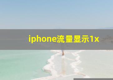 iphone流量显示1x