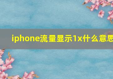 iphone流量显示1x什么意思