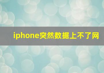 iphone突然数据上不了网